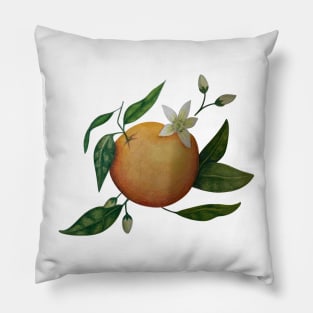 Hand Drawn Oranges Pillow