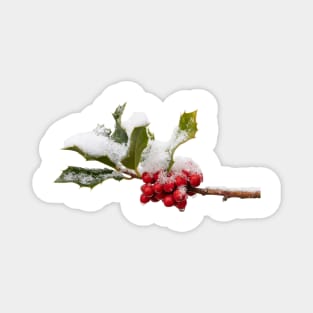 Snowy Holly Magnet