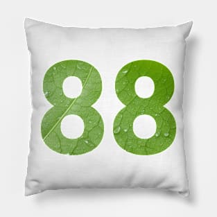 88 celebration day with nature Pillow