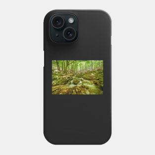 Mountain trail in the forest Phone Case