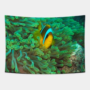 Clownfish Tapestry