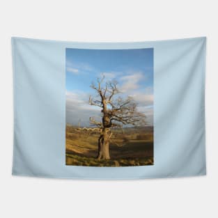 Old Oak Tree Tapestry