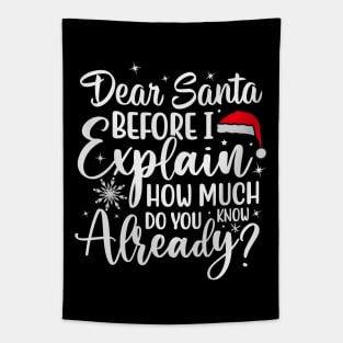 DEAR SANTA BEFORE I EXPLAIN HOW MUCH DO YOU KNOW Tapestry