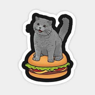 I CAN HAS CHEEZBURGER chubby meme cat Magnet
