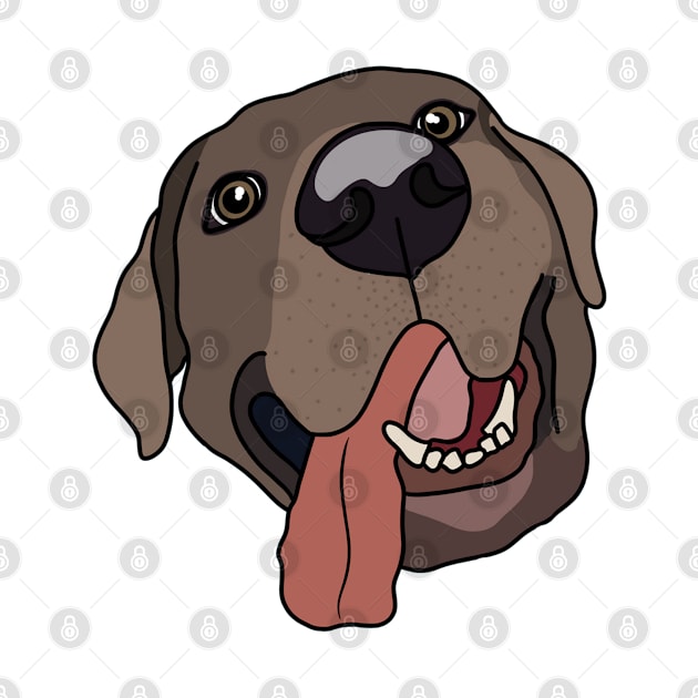 Brown Labrador by crankycranium