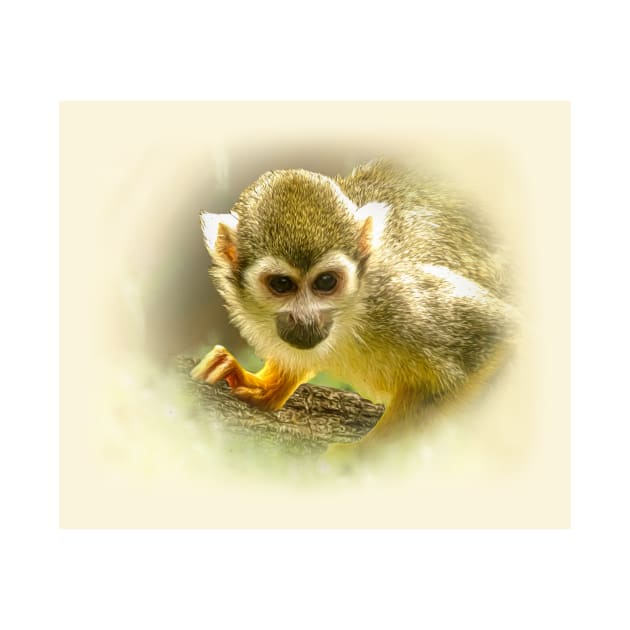 Squirrel monkey by Guardi