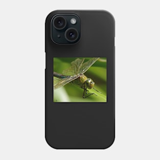 emperor dragonfly or blue emperor Phone Case