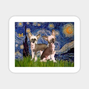 Two Chinese Crested in an Adaptation of Van Gogh's Starry Night Magnet