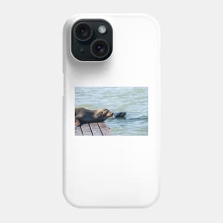 Female Sea Lion Phone Case