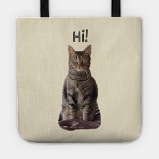 Hi! Tote