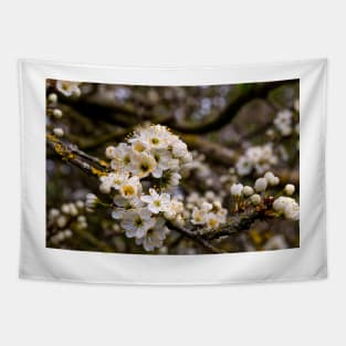 Springtime blossom Tapestry