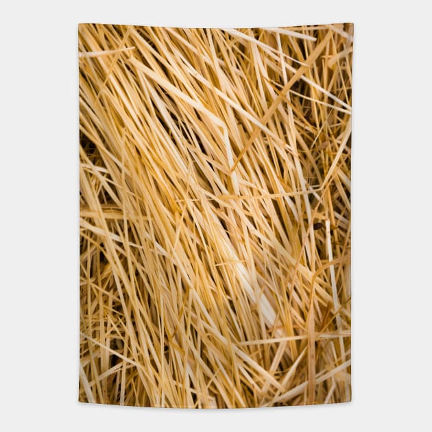 Dried yellow grass texture in a paddock Tapestry by textural