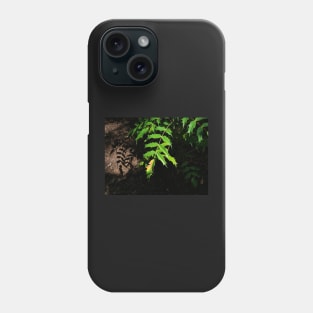 leaves changing colour in autumn Phone Case