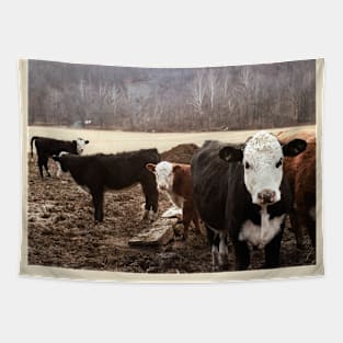 Vermont Cows Tapestry