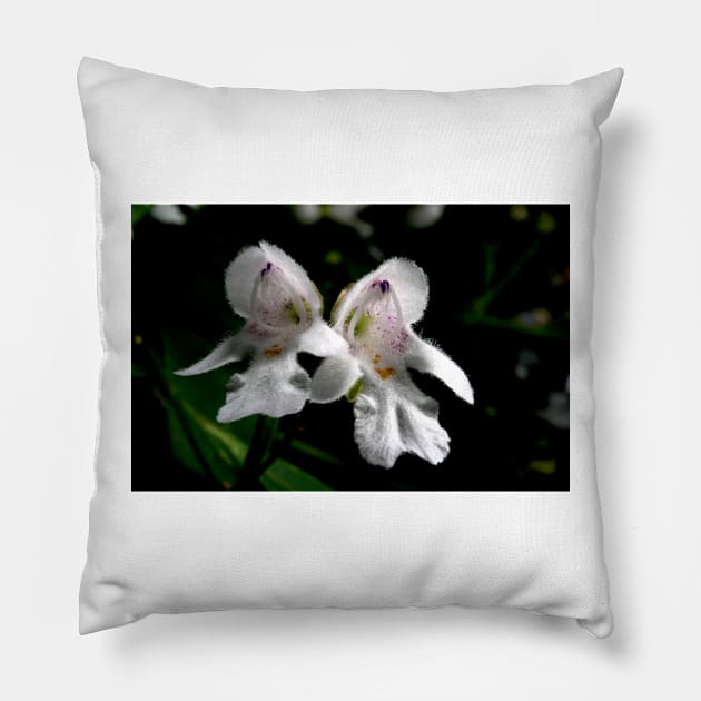 Victorian Christmas Bush Pillow by GP1746