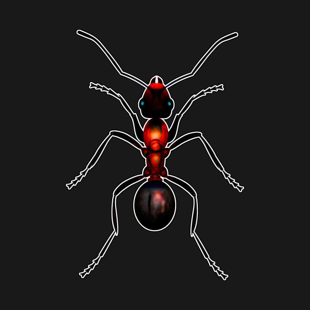 Fire Ant by crunchysqueak