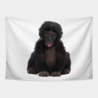 Cute Bonobo Tapestry