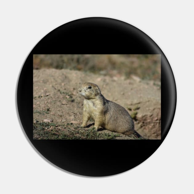 Prairie Dog Pin by MarieDarcy