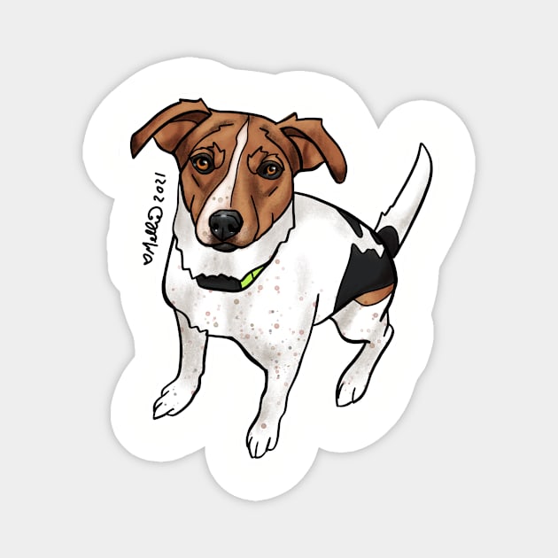 Zuzu - Dogs of Redstone, Colorado Magnet by mellierosetest