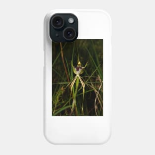 Specimen Spider Orchid Phone Case