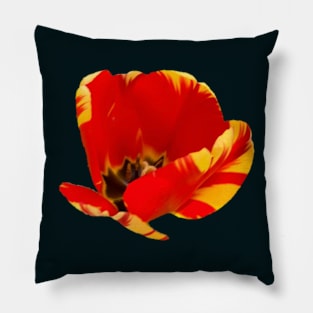 Red and Yellow Tulip Pillow