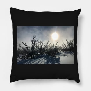 Snow Gum Ghosts Pillow