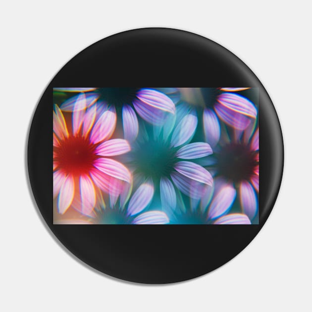 Echinacea flowers photographed through prism Pin by karinelizabeth