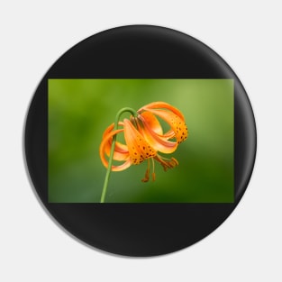 Tiger Lily Pin