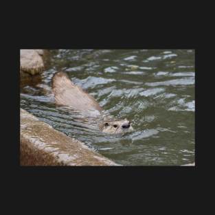 River Otter T-Shirt