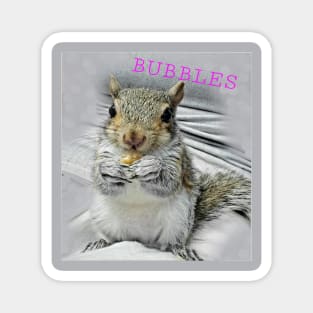 Bubbles the baby squirrel Magnet