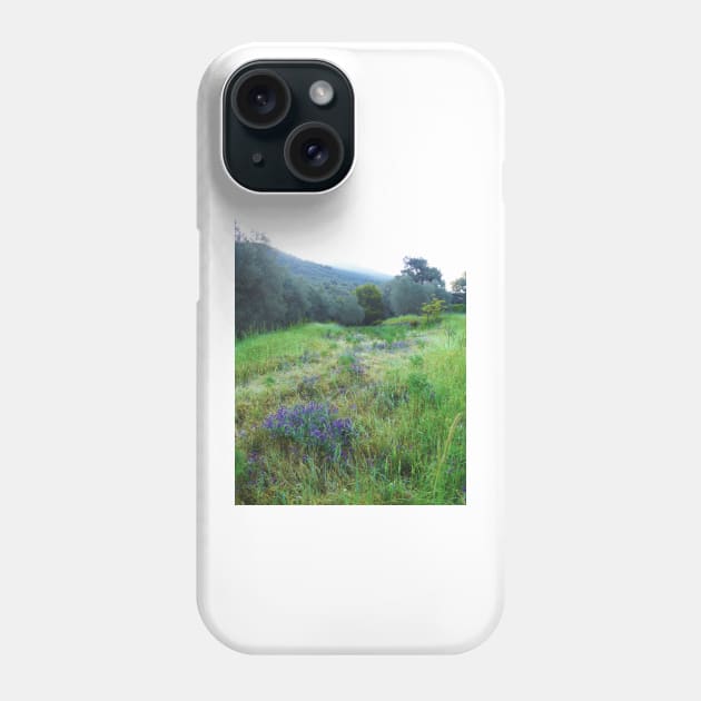 Hills of Morning Phone Case by aeolia