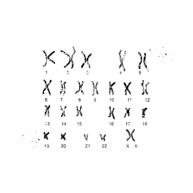 Female Chromosome idiogram by erzebeth