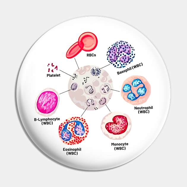 Blood cells. RBCs. WBCs, Basophil, Platelet, thrombocyte, Neutrophil, B-Lymphocyte, Monocyte, Eosinophil. Pin by labstud