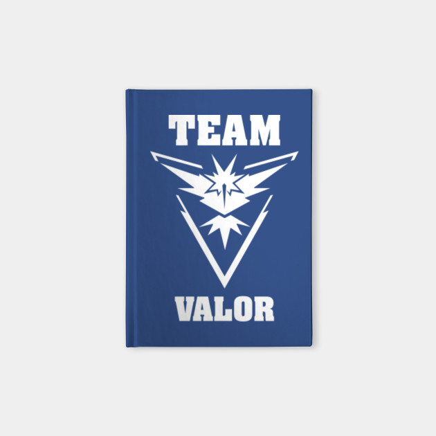 Team Valor