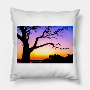 Tree At Sunset Pillow