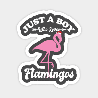 Just a Boy Who Loves Flamingos Magnet