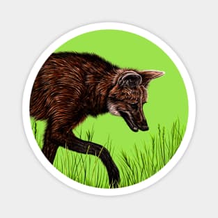 Maned wolf Magnet