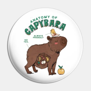 Anatomy of a Capybara Pin