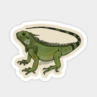 Iguana cartoon illustration Magnet