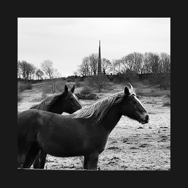 Horses and Bomber Command Centre, Lincoln by robsteadman