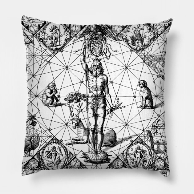 Jupiter Pillow by ZyDesign