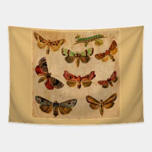 Butterfly Tapestry