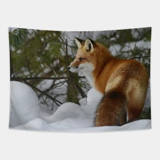 Red Fox Tapestry