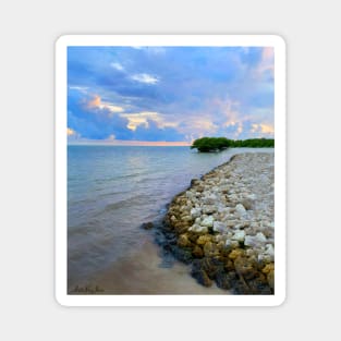 Florida Keys Beach Magnet