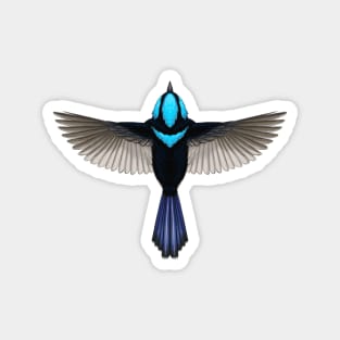 Superb Fairy-wren Magnet