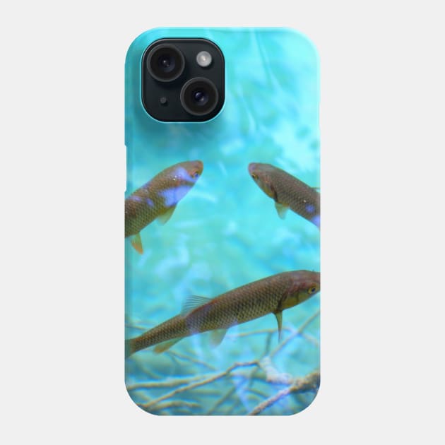 Fishes Phone Case by wanungara