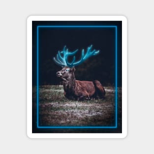 The Magic of Nature: The Warlock Deer Magnet