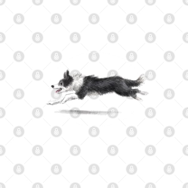 Collie Dog by Elspeth Rose Design