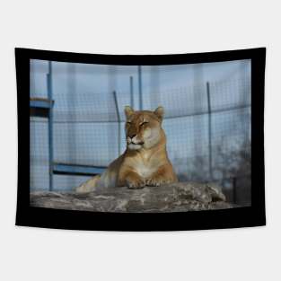 Liger Tapestry