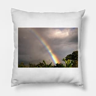 lll rainbow Pillow